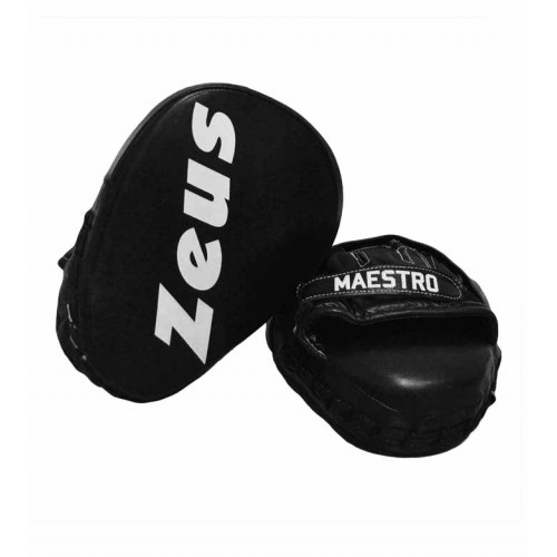 Guanti Boxe Maestro Zeus